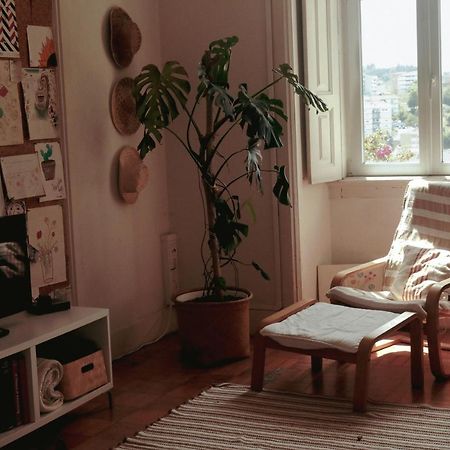 Coimbra Erasmus House - Guest House 外观 照片