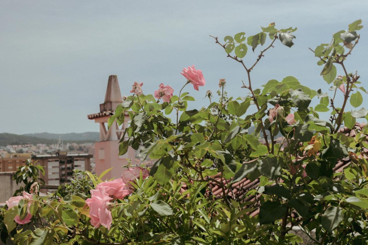 Coimbra Erasmus House - Guest House 外观 照片