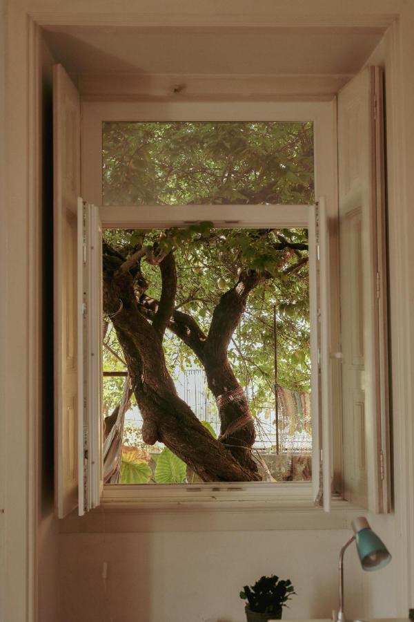 Coimbra Erasmus House - Guest House 外观 照片